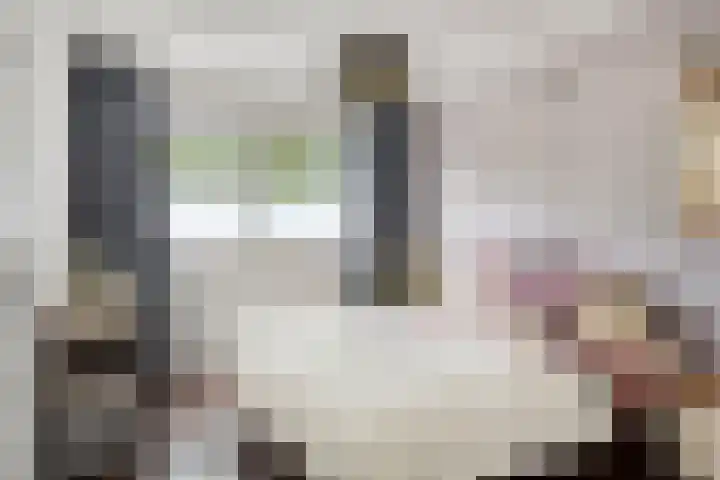 Melkdam 17 Lith thumbnail 29