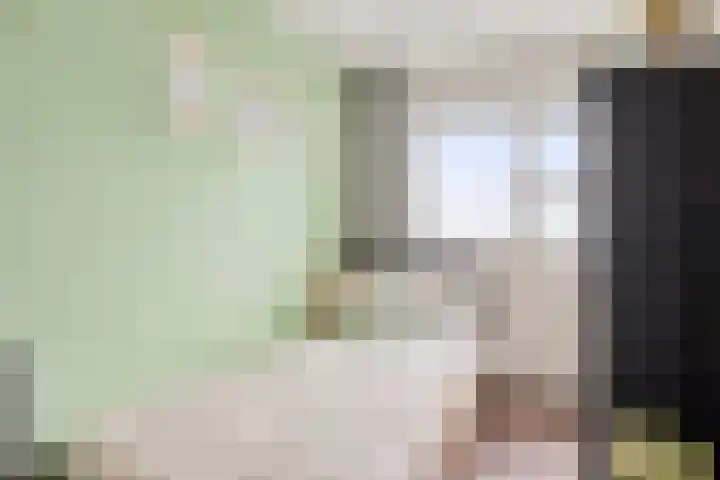 Melkdam 17 Lith thumbnail 30