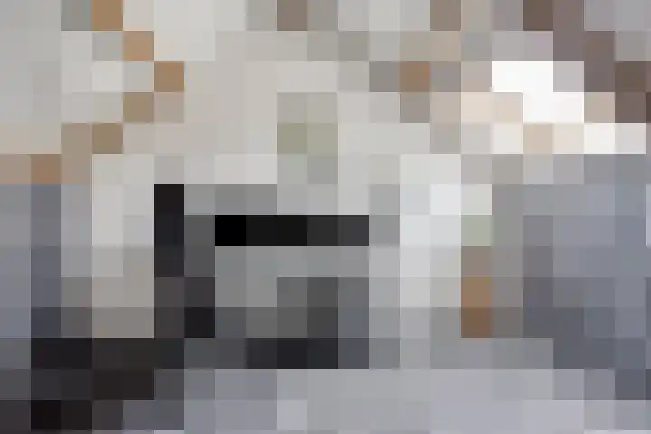 Melkdam 17 Lith thumbnail 38