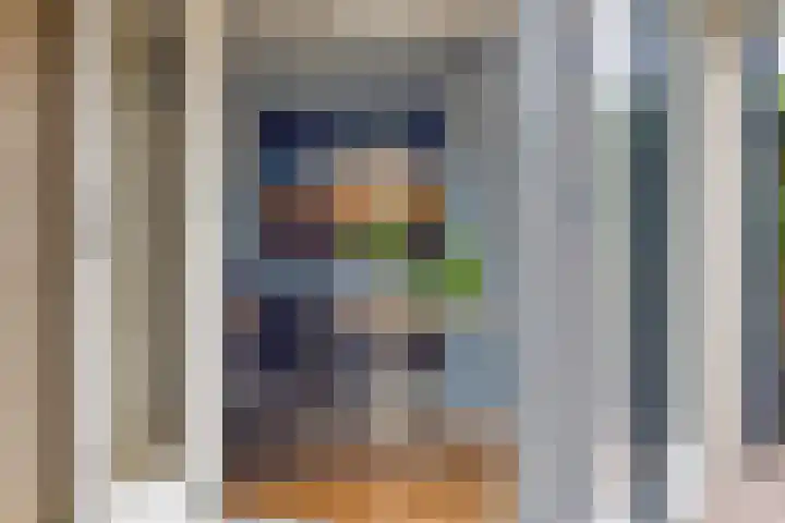 Melkdam 17 Lith thumbnail 43