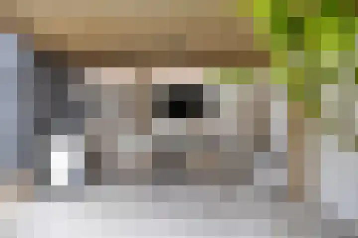 Melkdam 17 Lith thumbnail 46
