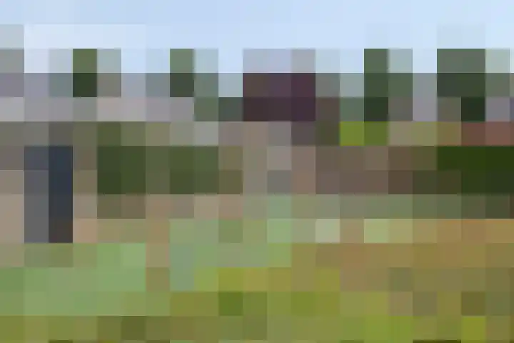 Melkdam 17 Lith thumbnail 52