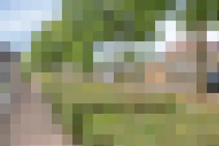 Melkdam 17 Lith thumbnail 53