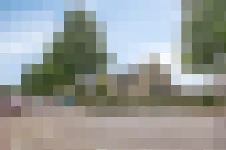 Melkdam 17 Lith thumbnail 54