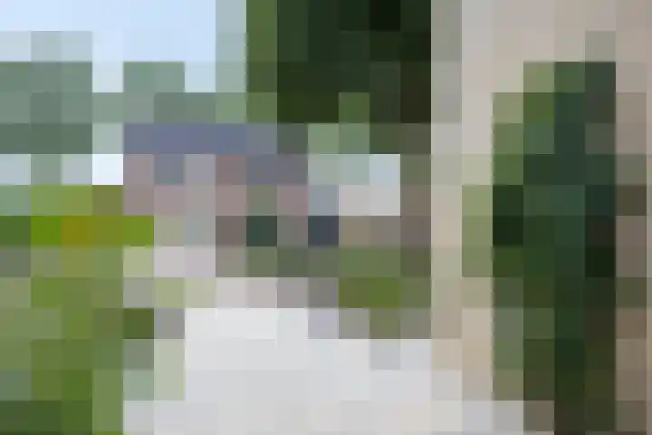 Melkdam 17 Lith thumbnail 8
