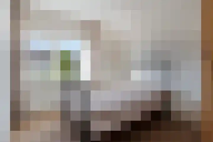 Melkdam 7 Lith thumbnail 16