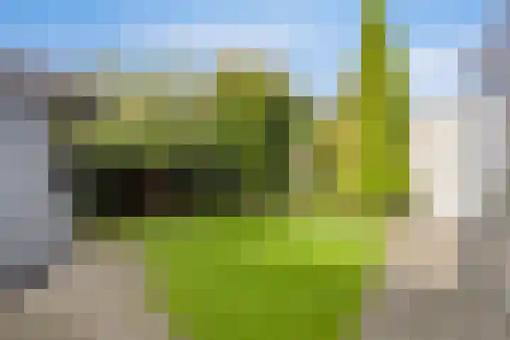 Melkdam 7 Lith thumbnail 18