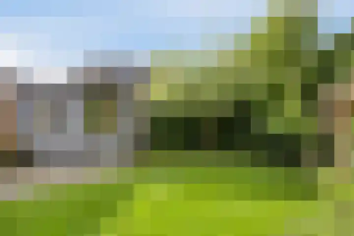 Melkdam 7 Lith thumbnail 19