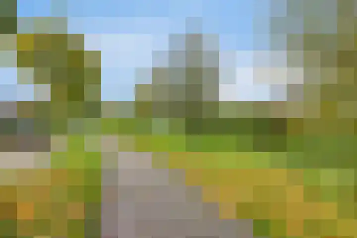 Melkdam 7 Lith thumbnail 23