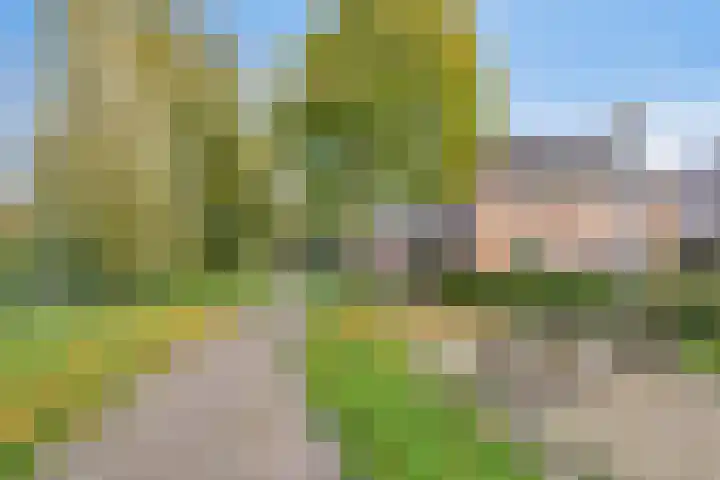 Melkdam 7 Lith thumbnail 24