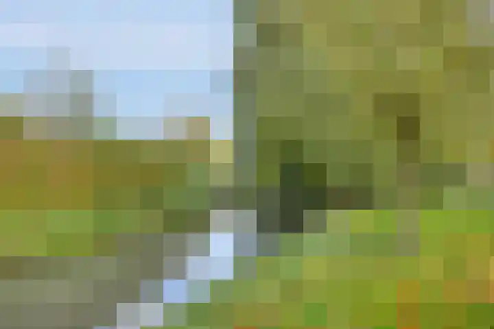 Melkdam 7 Lith thumbnail 25