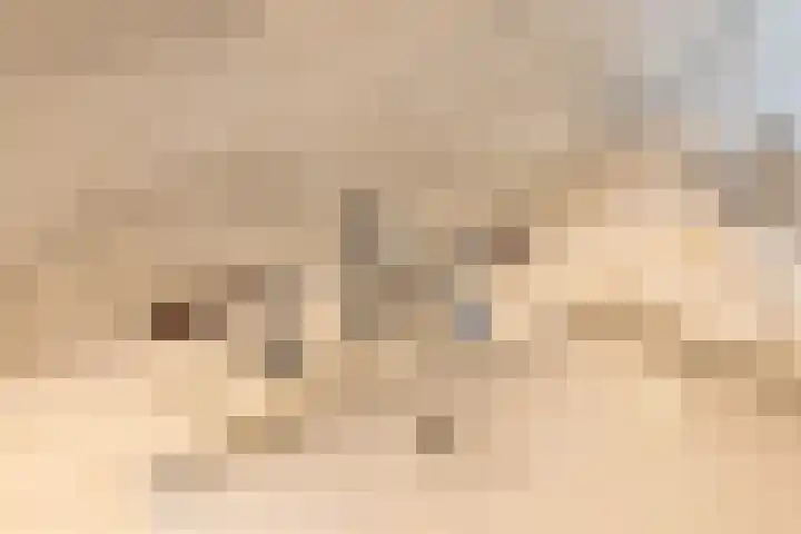 Melkdam 7 Lith thumbnail 6