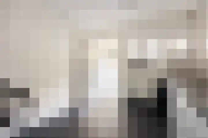 Melkdam 7 Lith thumbnail 9