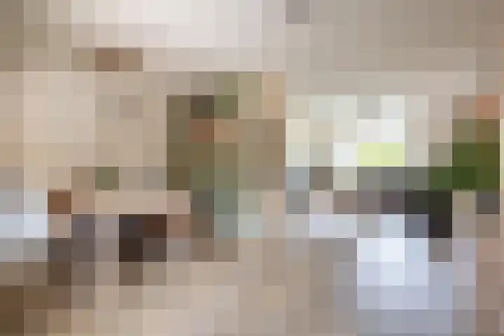 Melkeppe 13 Den Haag thumbnail 14