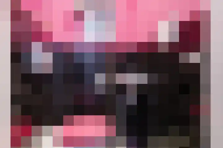 Melkeppe 13 Den Haag thumbnail 14