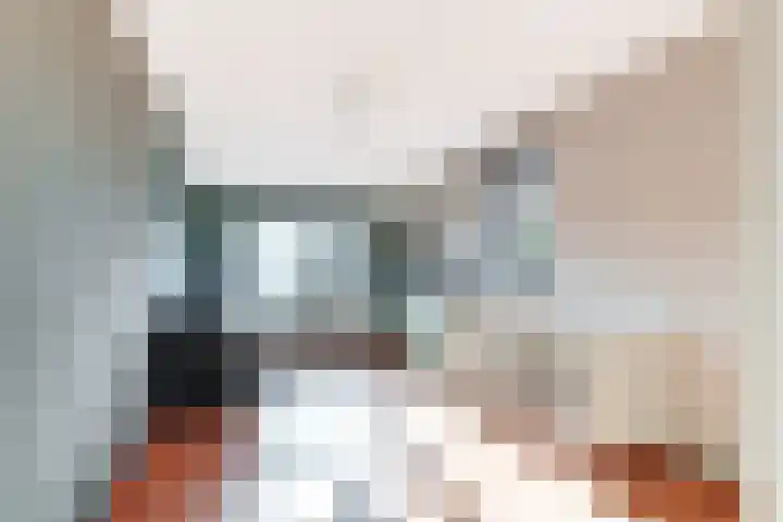 Melkeppe 13 Den Haag thumbnail 17