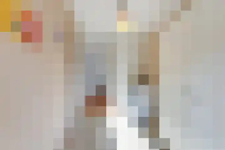 Melkeppe 13 Den Haag thumbnail 20