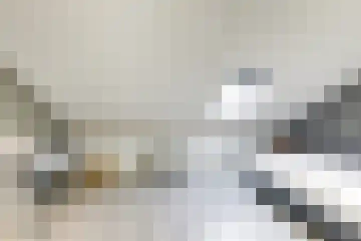Melkeppe 13 Den Haag thumbnail 24
