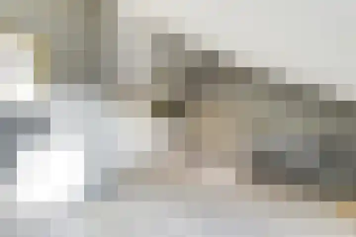 Melkeppe 13 Den Haag thumbnail 25
