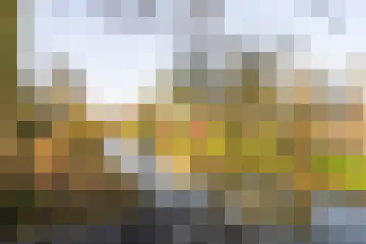 Melkeppe 13 Den Haag thumbnail 26