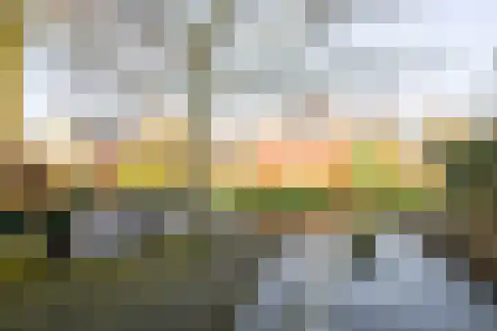 Melkeppe 13 Den Haag thumbnail 28