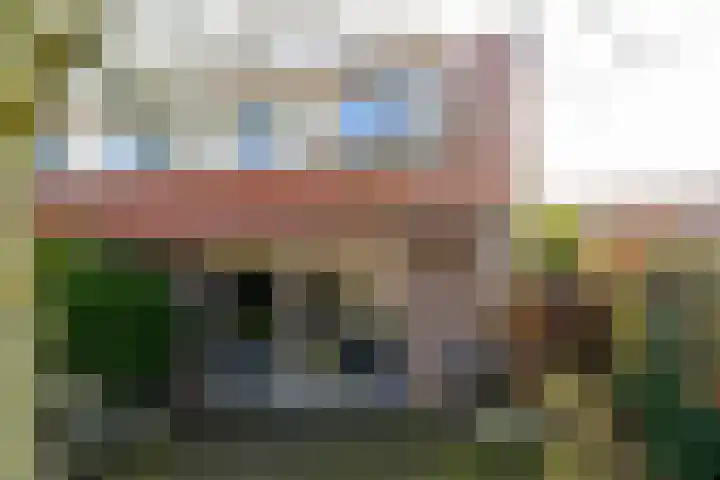 Melkeppe 13 Den Haag thumbnail 29