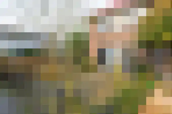 Melkeppe 13 Den Haag thumbnail 30