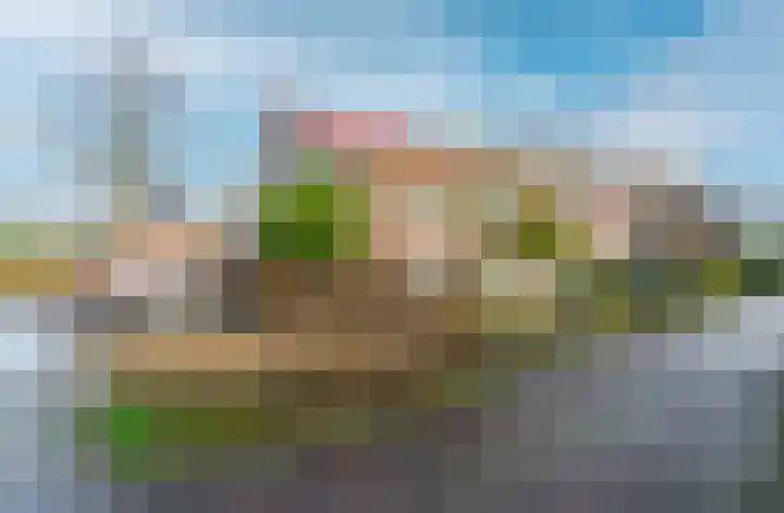 Melkeppe 13 Den Haag thumbnail 6