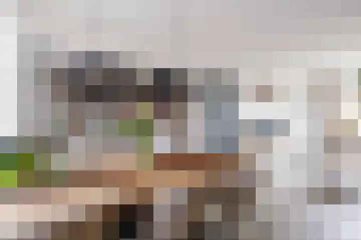 Melkerspaed 3 Akkrum thumbnail 14