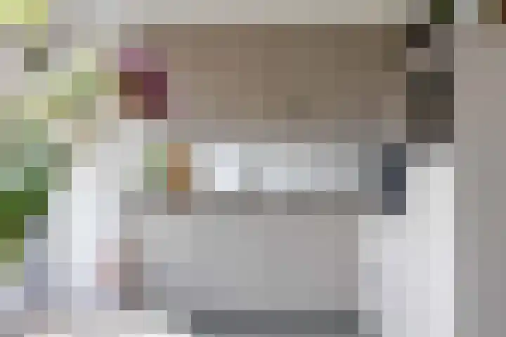 Melkerspaed 3 Akkrum thumbnail 15