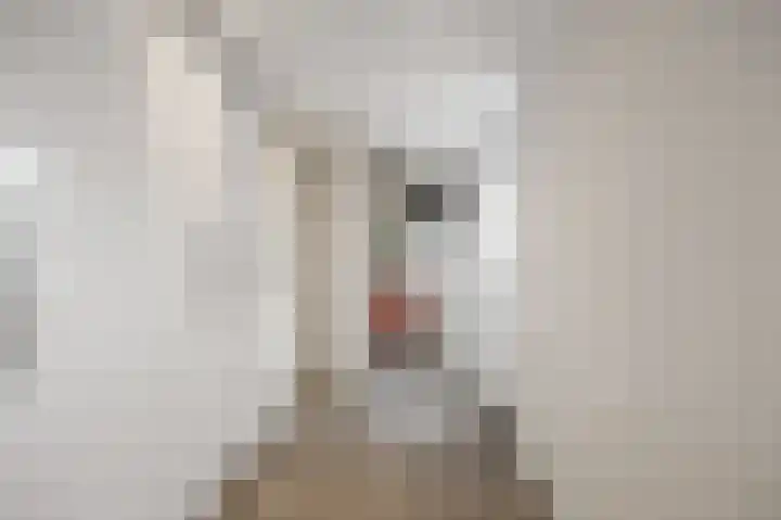 Melkerspaed 3 Akkrum thumbnail 19