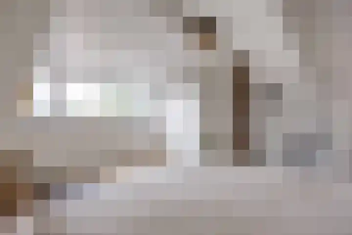 Melkerspaed 3 Akkrum thumbnail 33