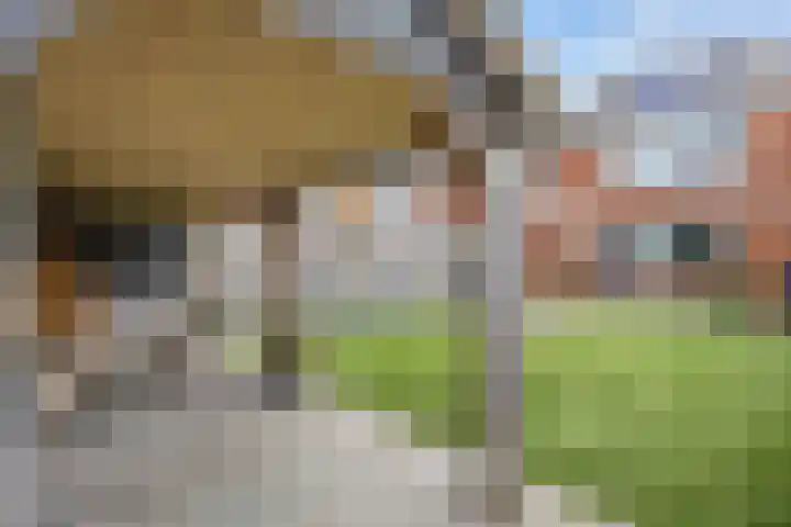 Melkerspaed 3 Akkrum thumbnail 41