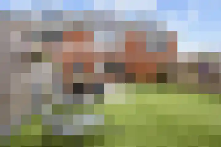 Melkerspaed 3 Akkrum thumbnail 42