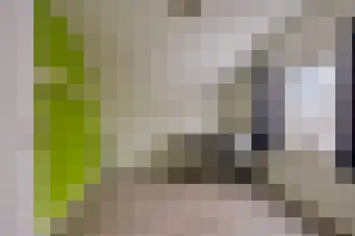 Melkerstraat 20 Erp thumbnail 24