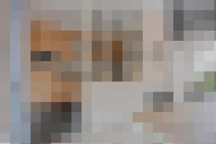 Melkpad 221 Zeeland thumbnail 12