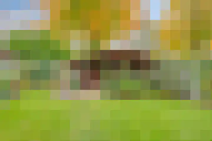 Melkpad 221 Zeeland thumbnail 36