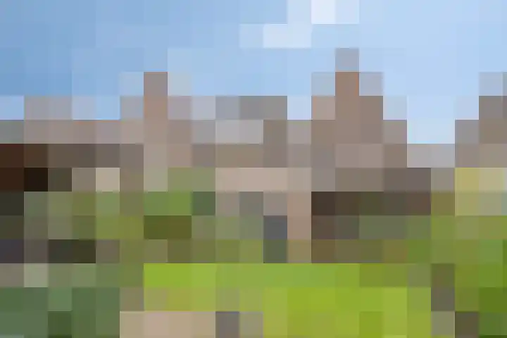Melkpad 221 Zeeland thumbnail 38