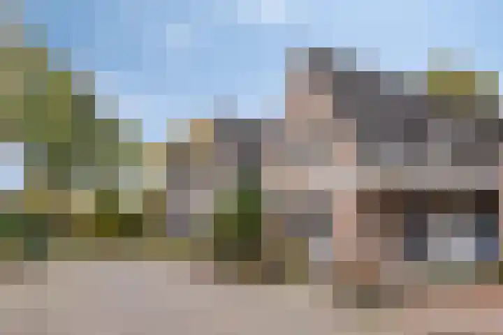 Melkpad 221 Zeeland thumbnail 41