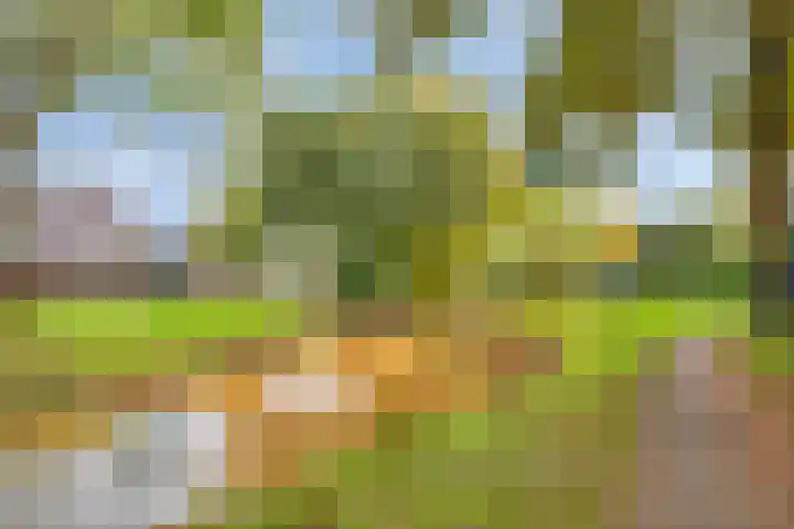 Melkpad 221 Zeeland thumbnail 43