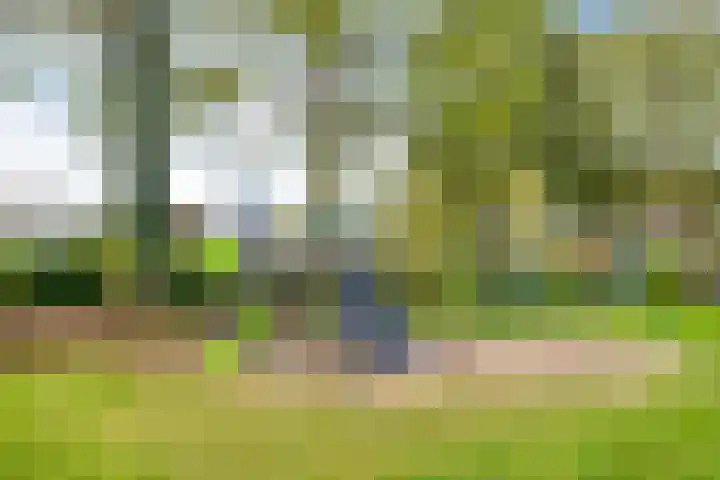 Melkpad 221 Zeeland thumbnail 44