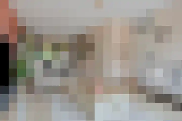 Melkpad 221 Zeeland thumbnail 5
