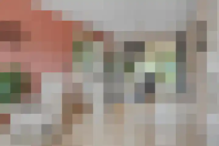 Melkpad 221 Zeeland thumbnail 6