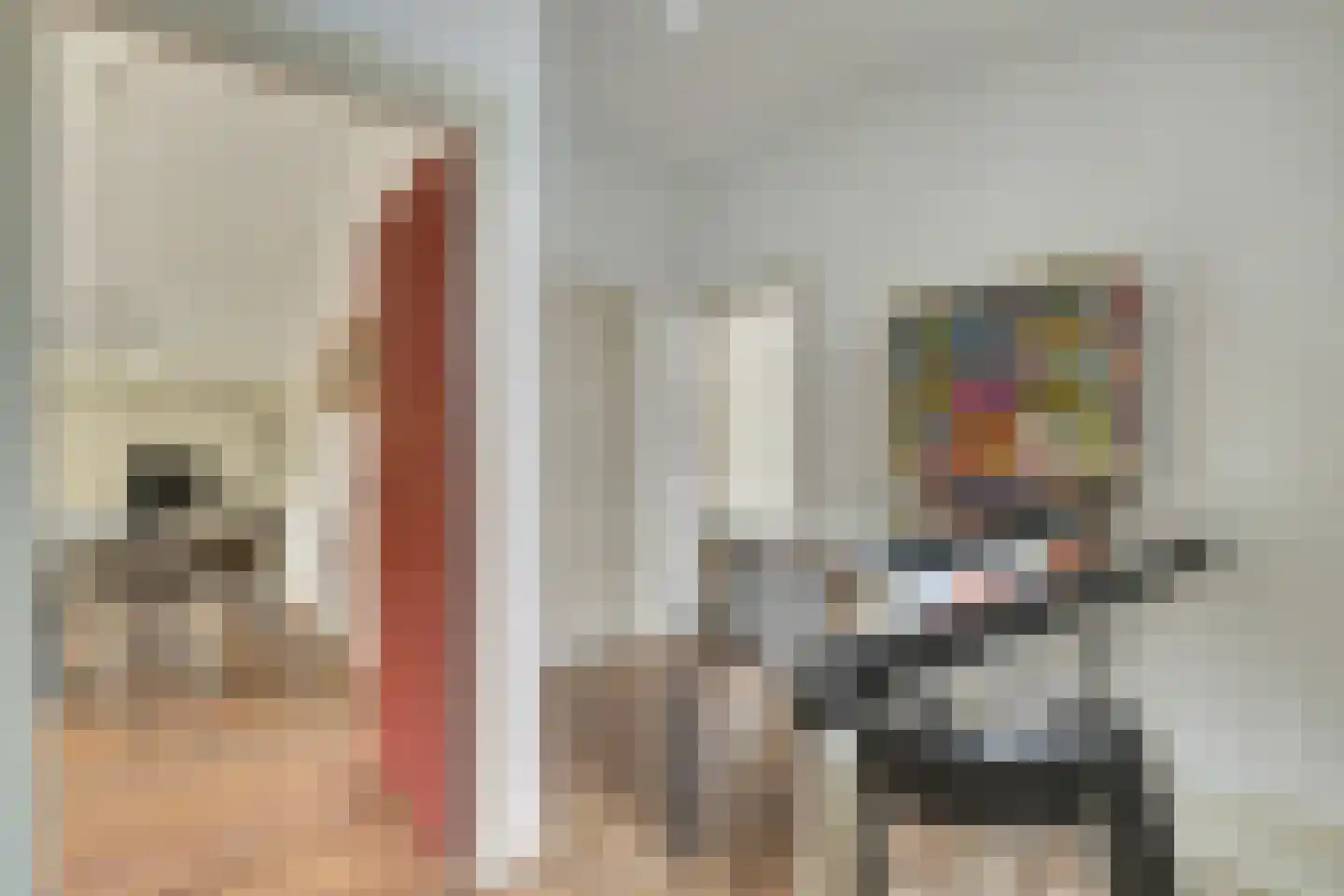 Melkpad 4 Gorinchem thumbnail 11