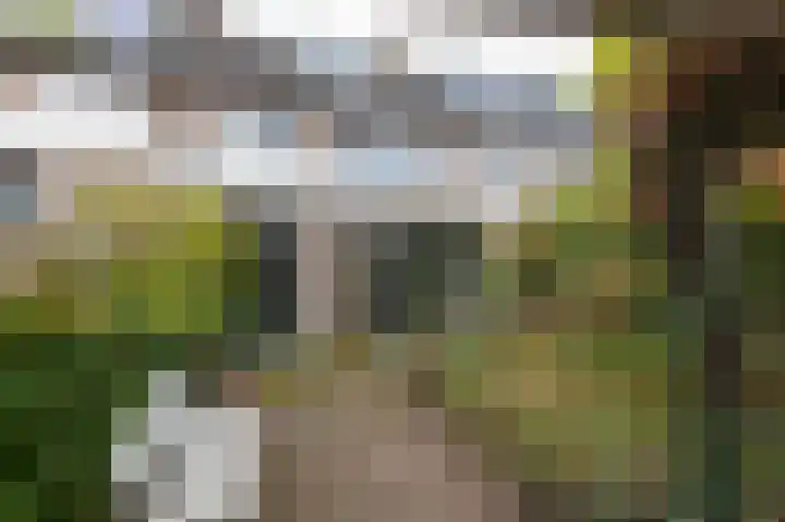 Melkpad 62 Zeeland thumbnail 13