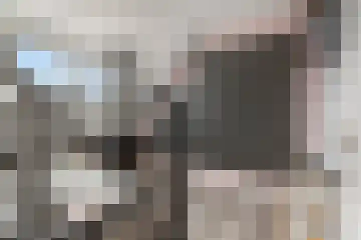 Melkpad 62 Zeeland thumbnail 14