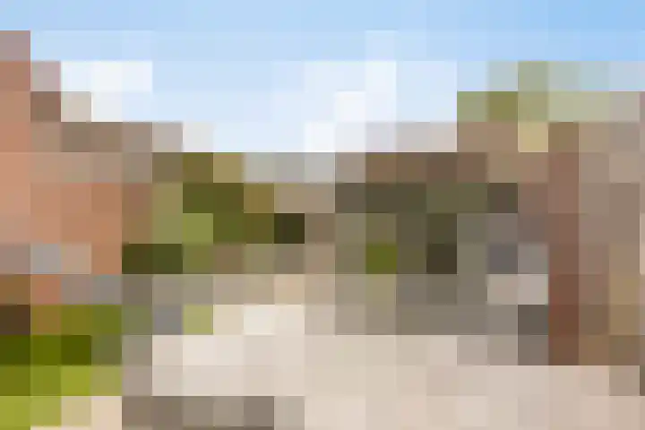 Melkpad 62 Zeeland thumbnail 20