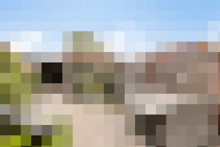 Melkpad 62 Zeeland thumbnail 21
