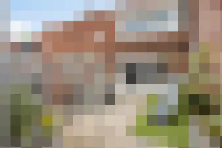 Melkpad 62 Zeeland thumbnail 22