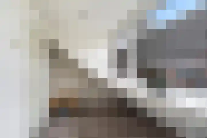 Melkpad 62 Zeeland thumbnail 4